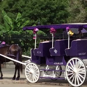 Meet your Posher, Eloisa